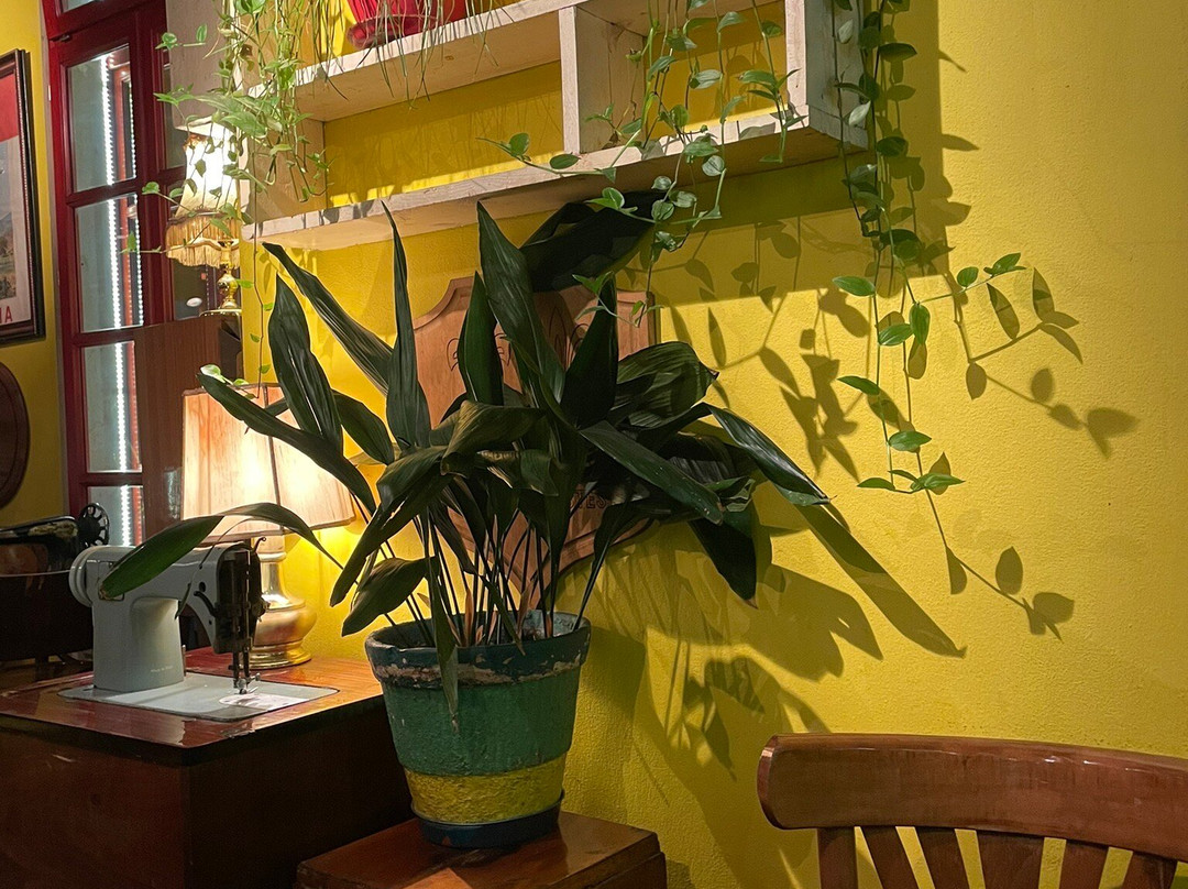 Radio Bar Tirana-地拉那必去景点
