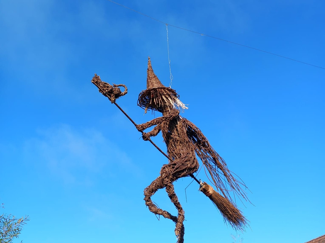 Coates English Willow Visitor Centre景点图片