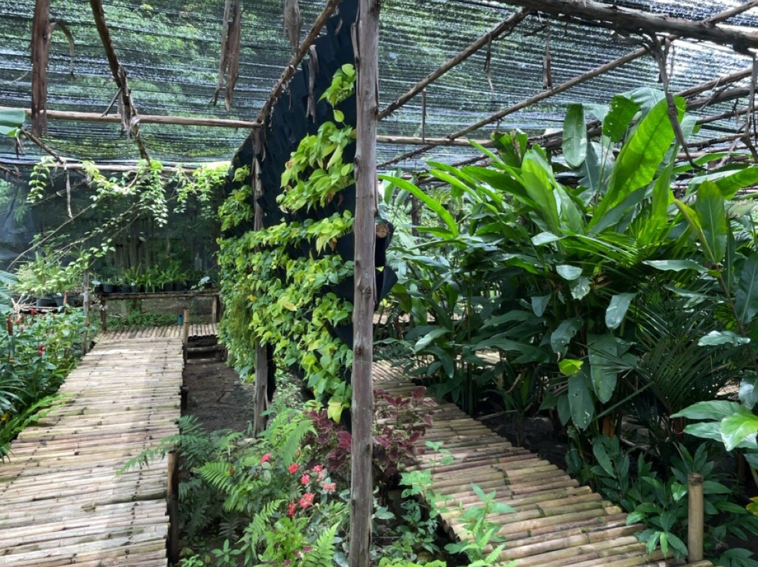 生态森林大象保护区景点图片