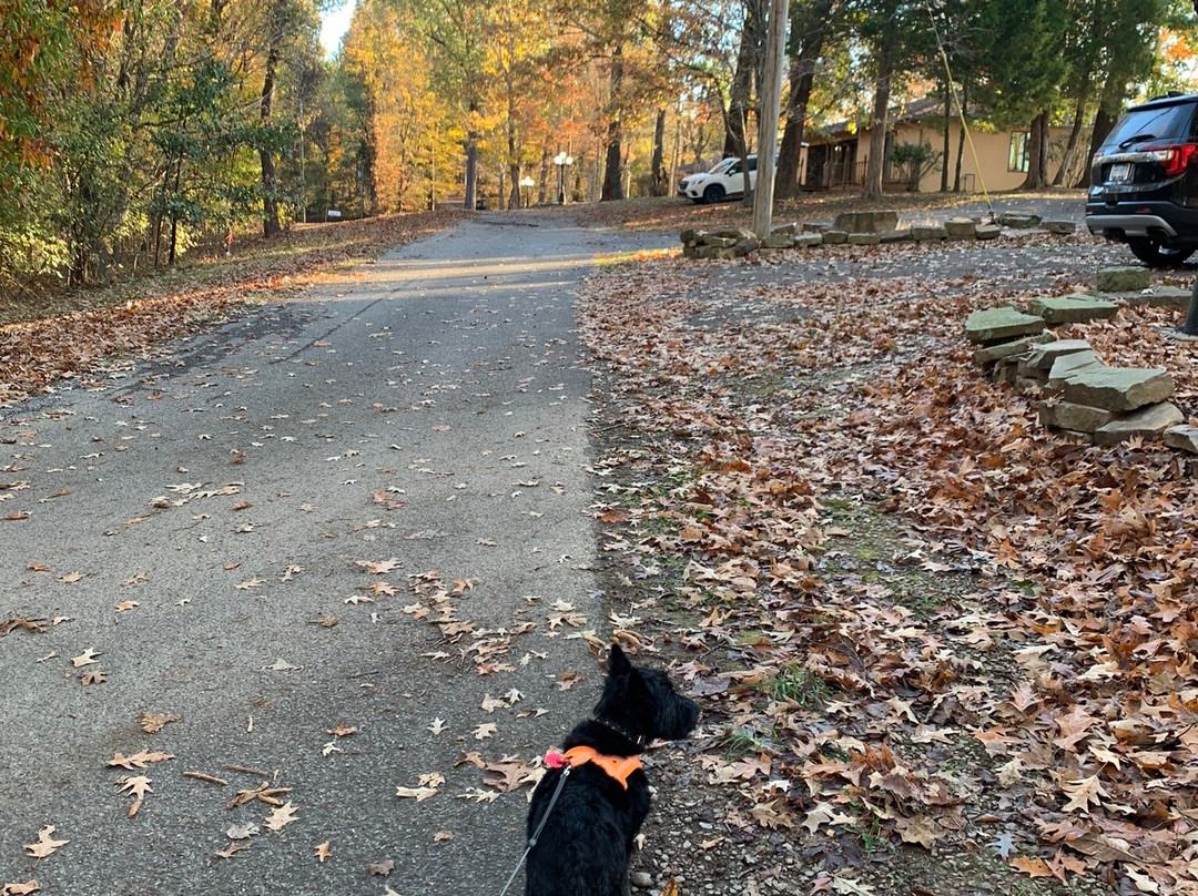 San Damiano Lodging & Retreat Center主图