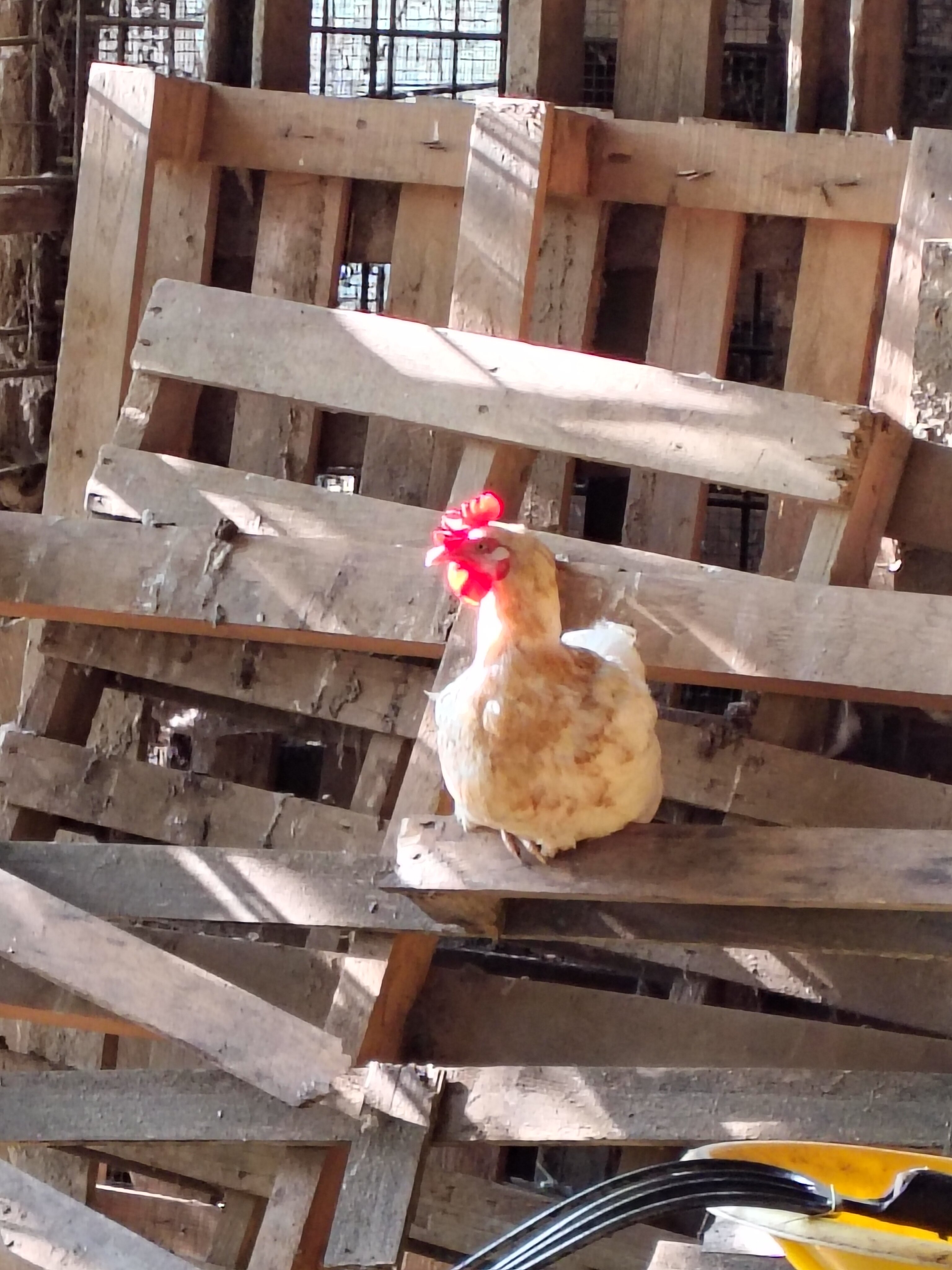 Agriturismo Amarant-官方