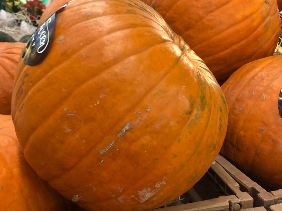 Pro Cordenons-Cordenons必去景点