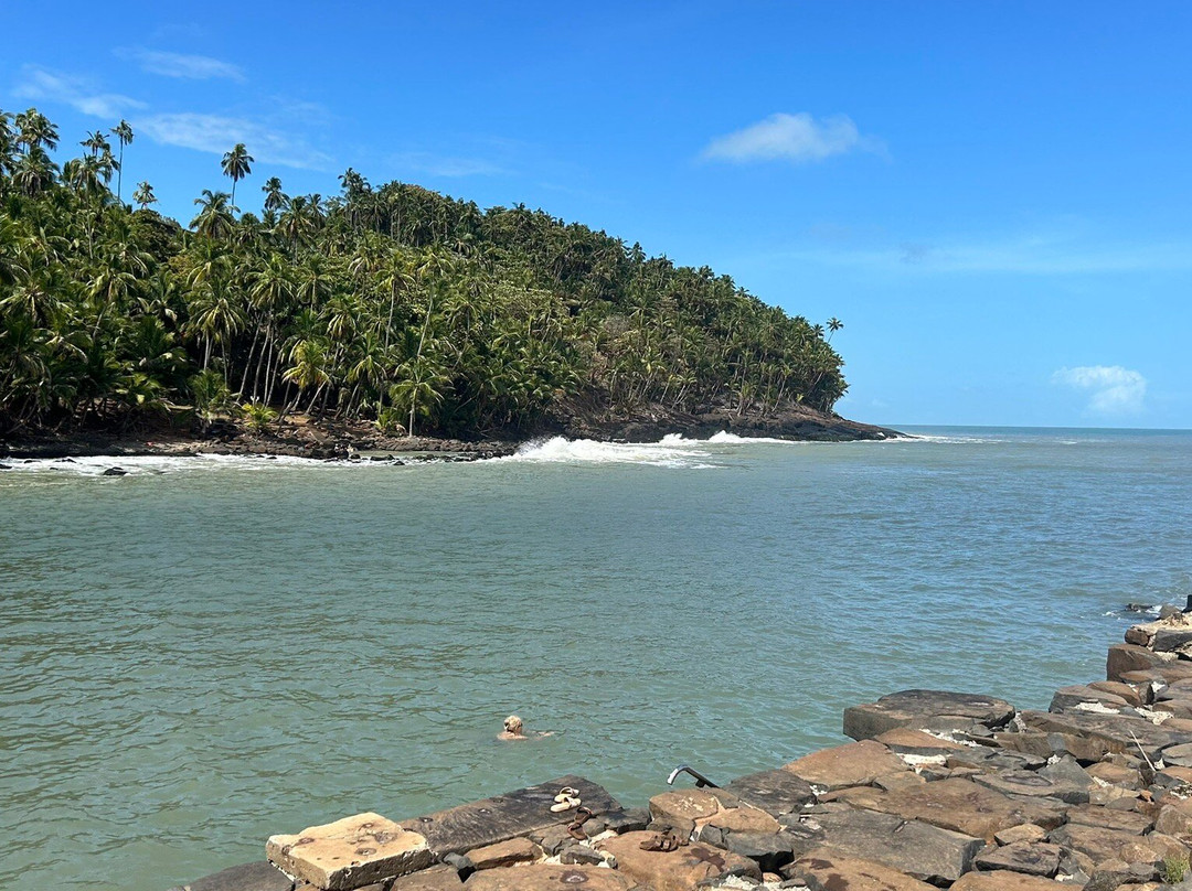 Tropic Alizes-Remire-Montjoly必去景点