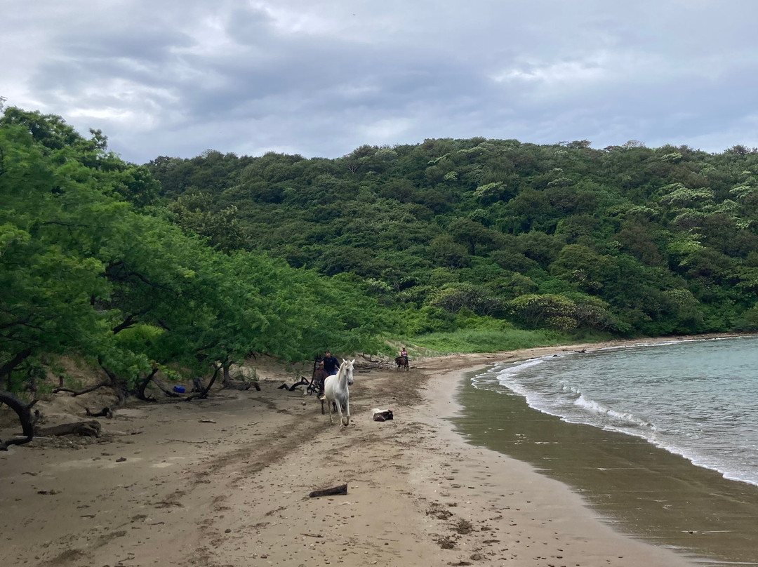 Outdoor Adventures Discover Costa Rica景点图片