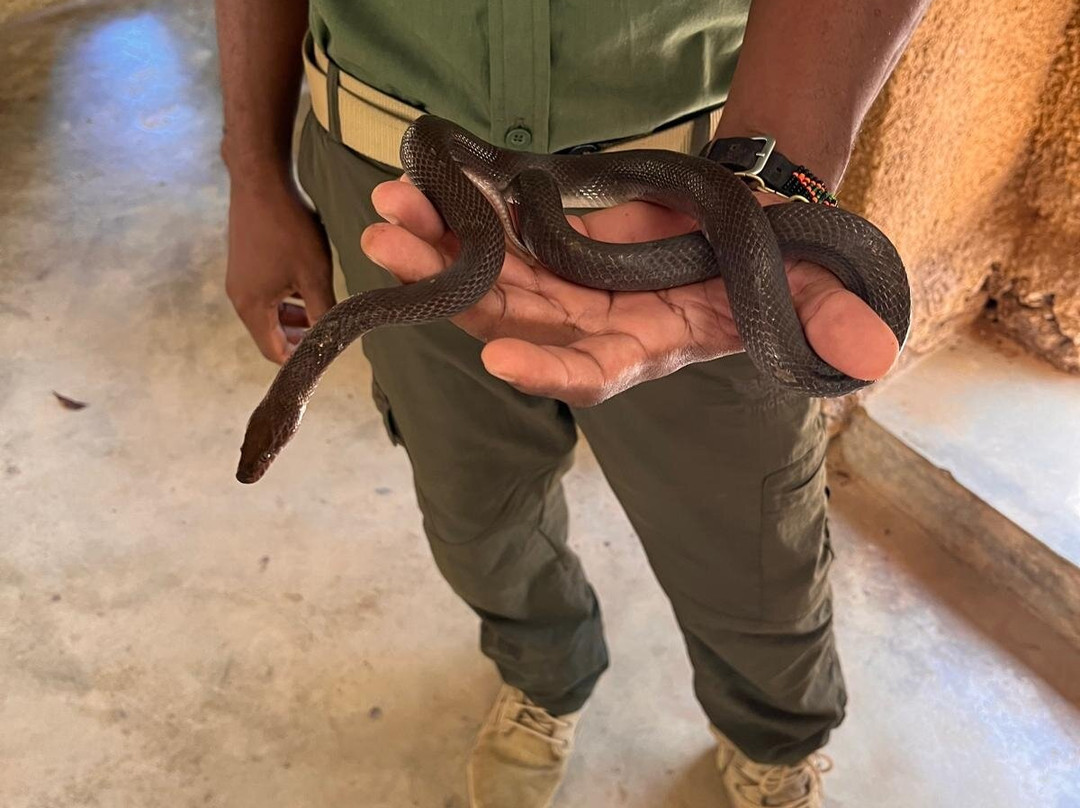 The Watamu Snake Farm-瓦塔木必去景点