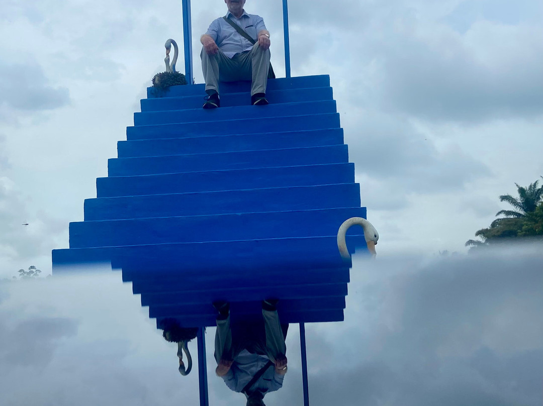 Sky Ladder Pineapple Farm-波德申必去景点