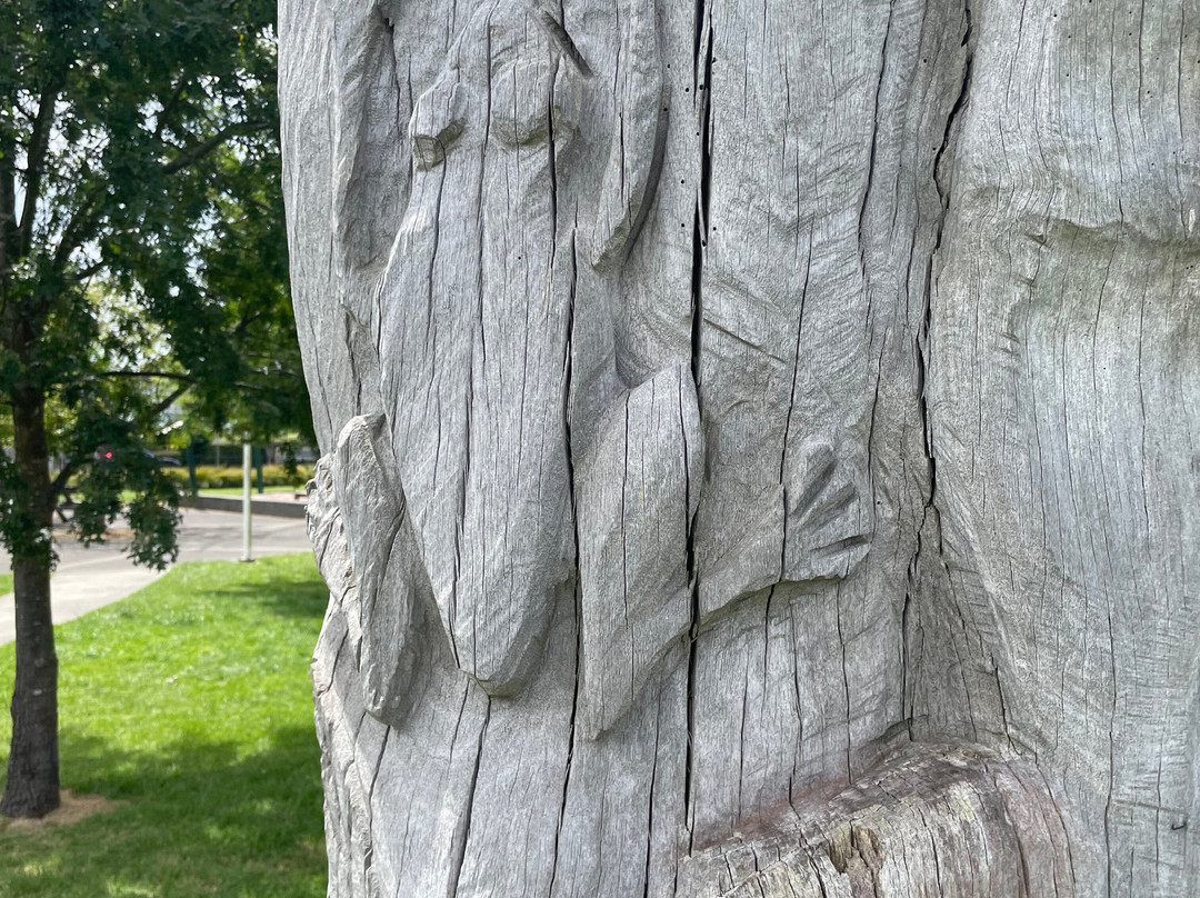 Prince Street Reserve-Rosedale必去景点