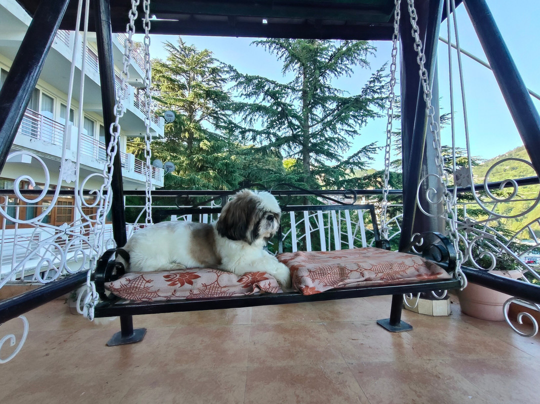 Poetry By The Hills主图