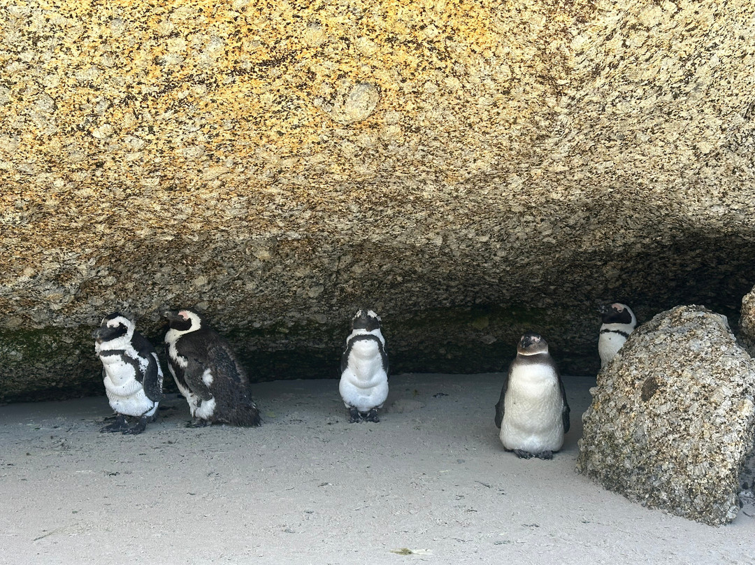 Inmotion - Create Your Balance-Sea Point必去景点