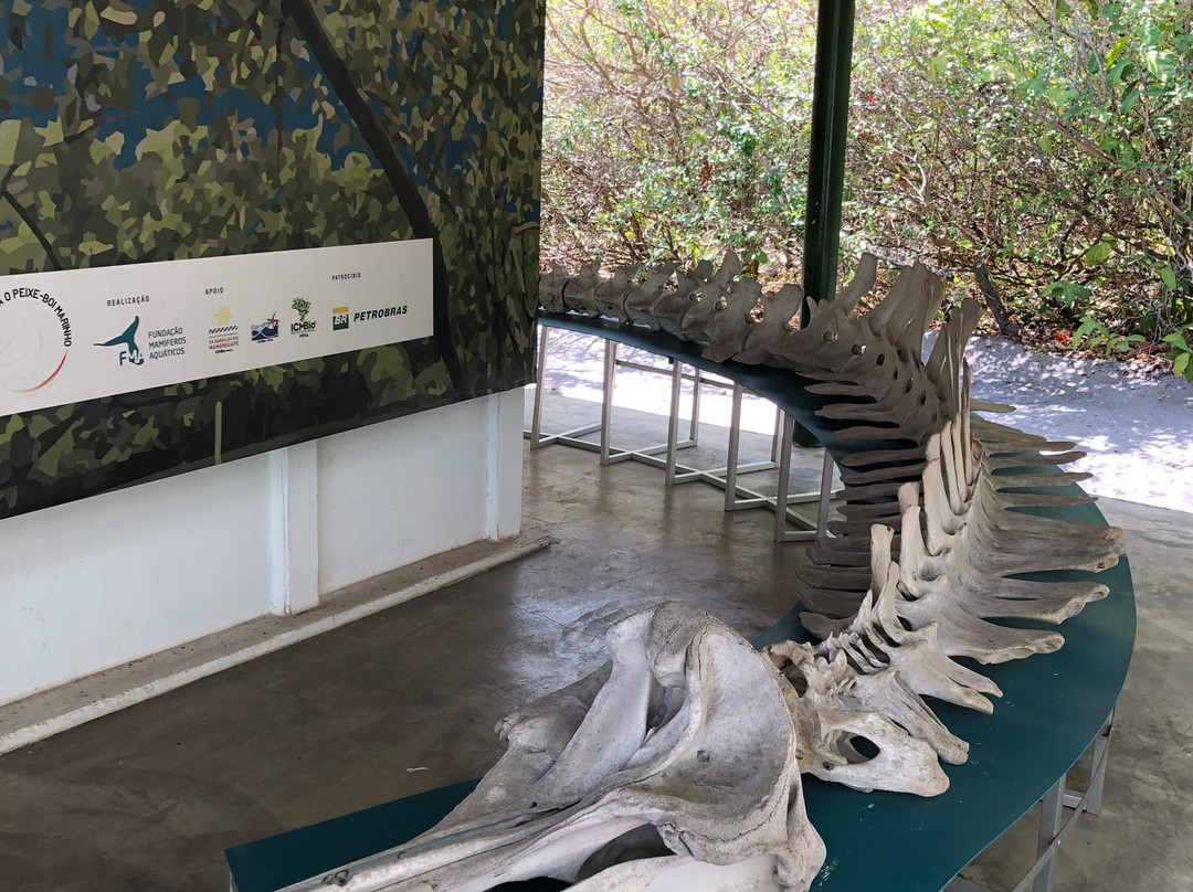 Barra de Mamanguape Beach-Rio Tinto必去景点