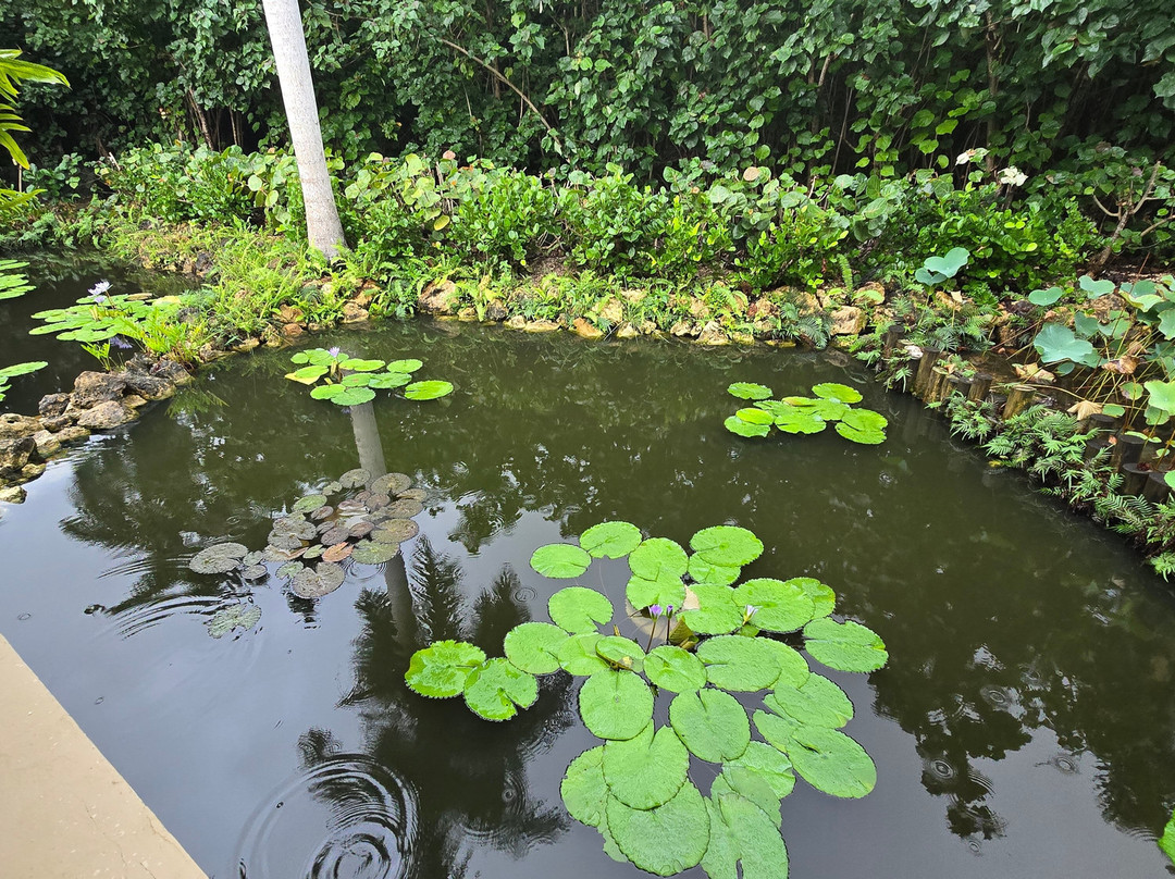 Blue Iguana Conservation Tour-North Side必去景点