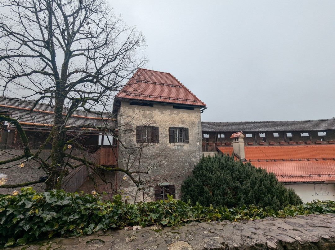 Wine Tasting Bled-布莱德必去景点