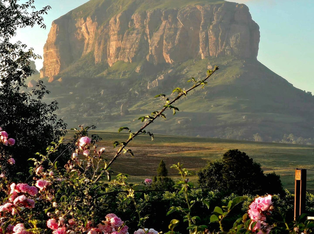 Riverview Country Inn主图