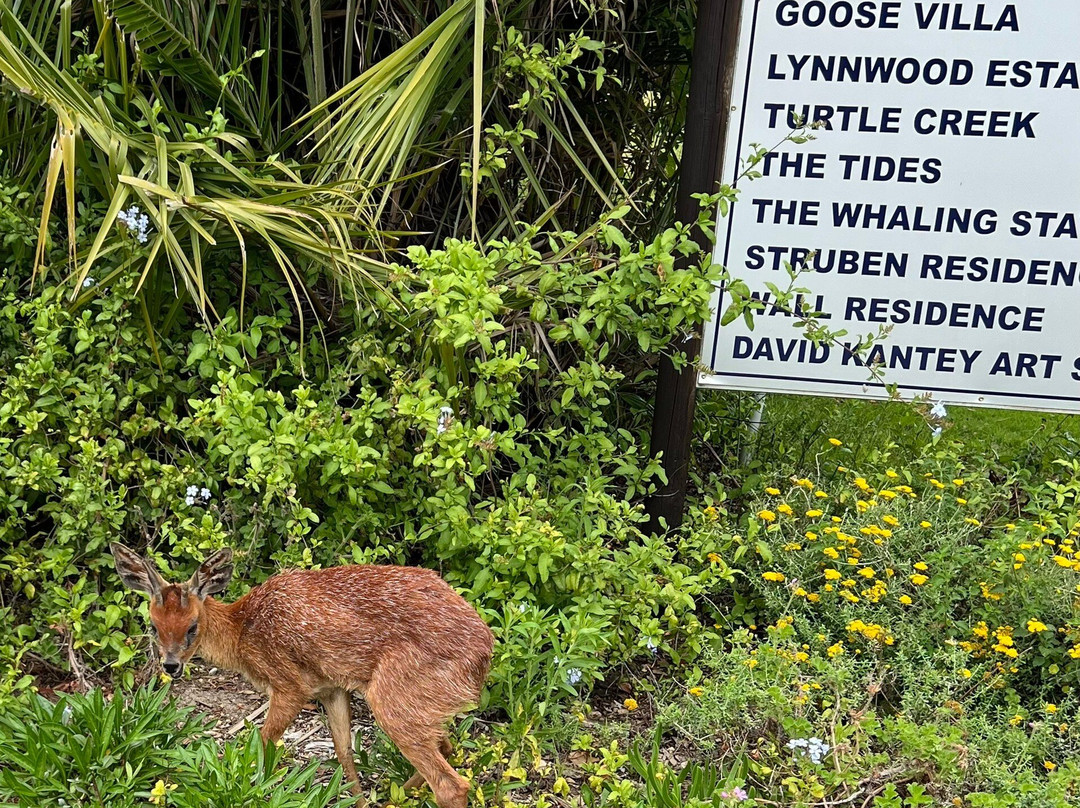 Goose Valley Golf Club-普利登堡湾必去景点