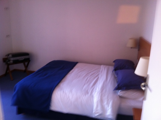 Hotel Savoie Léman-客卧