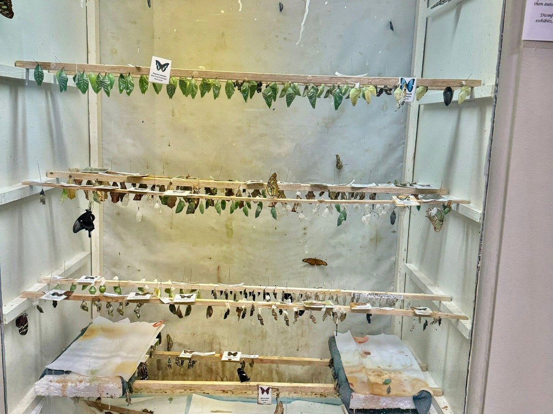 The Butterfly Place-韦斯特福德必去景点