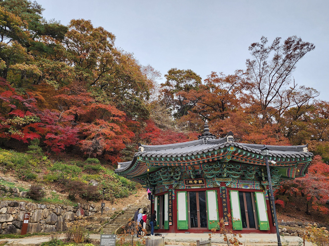 Yongmunsa Temple-杨平郡必去景点