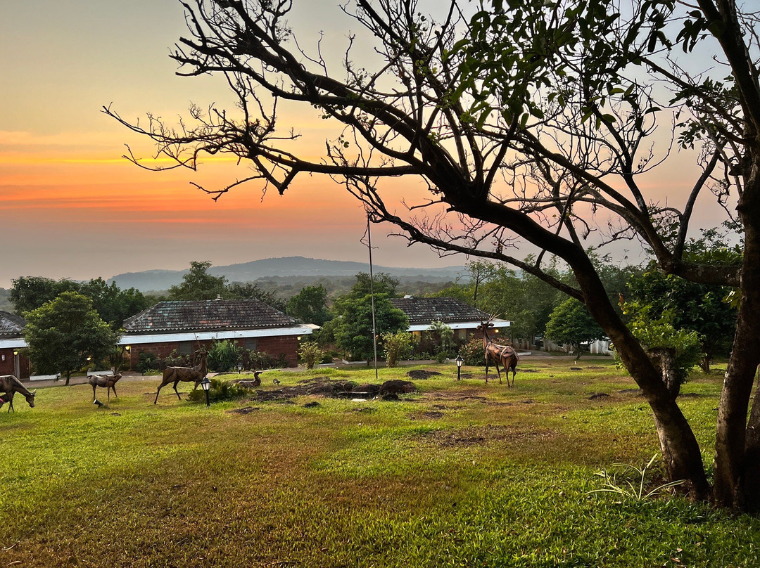 The Fern Seaside Luxurious Tent Resort Daman主图