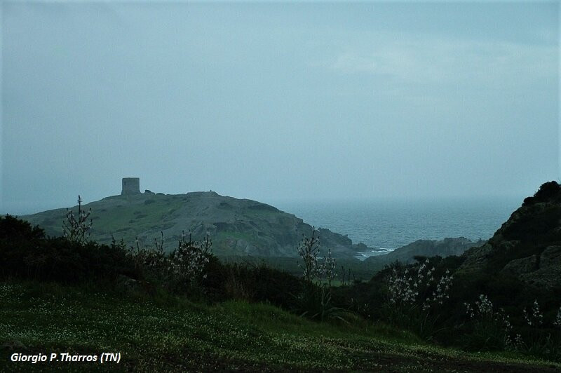 Torre Argentina-博萨必去景点