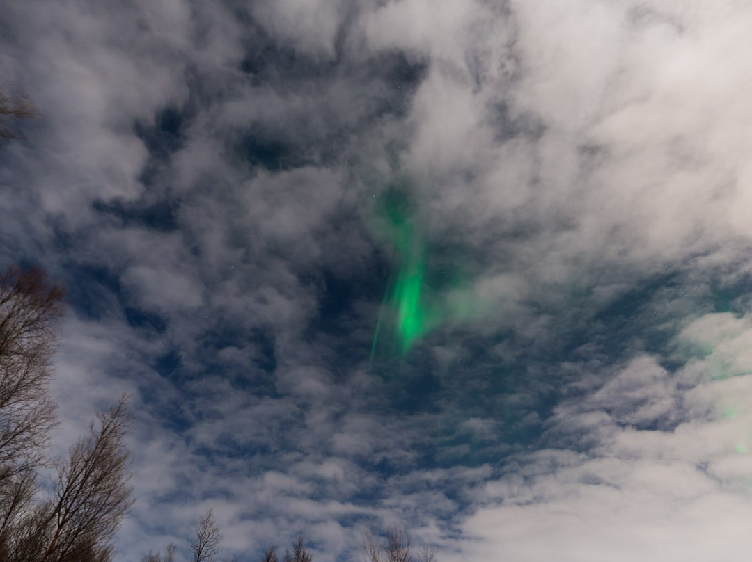 Greenlander-特罗姆瑟必去景点
