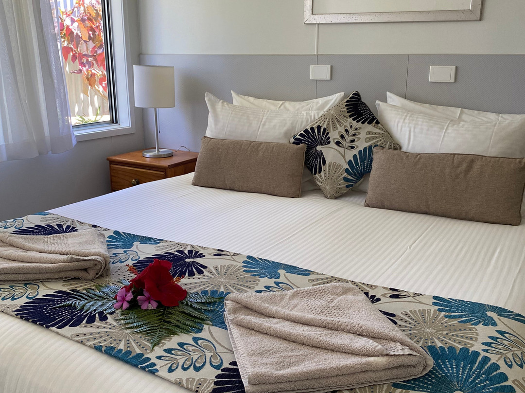 Hibiscus Regal主图