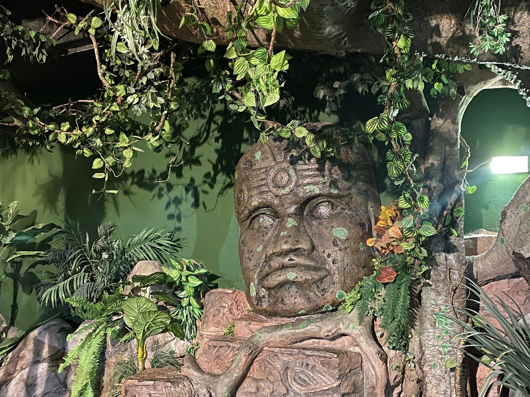 Sochi Discovery World Aquarium-Kurortny Gorodok必去景点