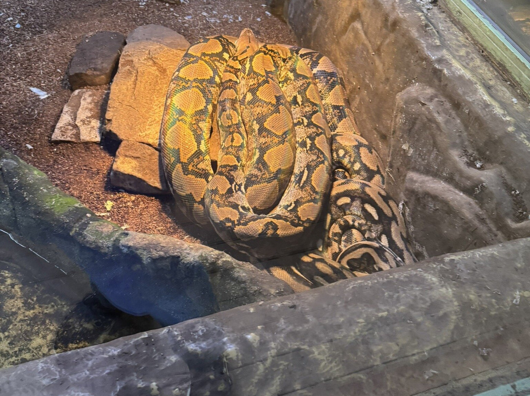 Terrazoo Rheinberg景点图片