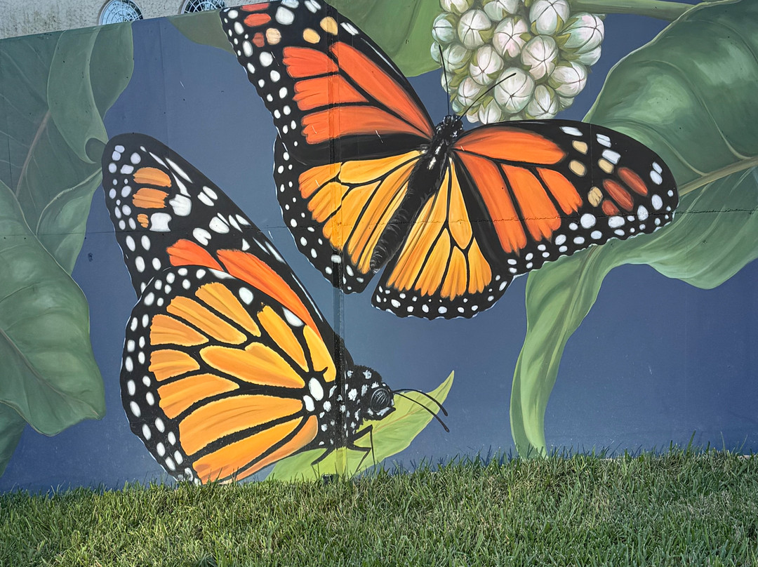 Lake Mirror-莱克兰必去景点