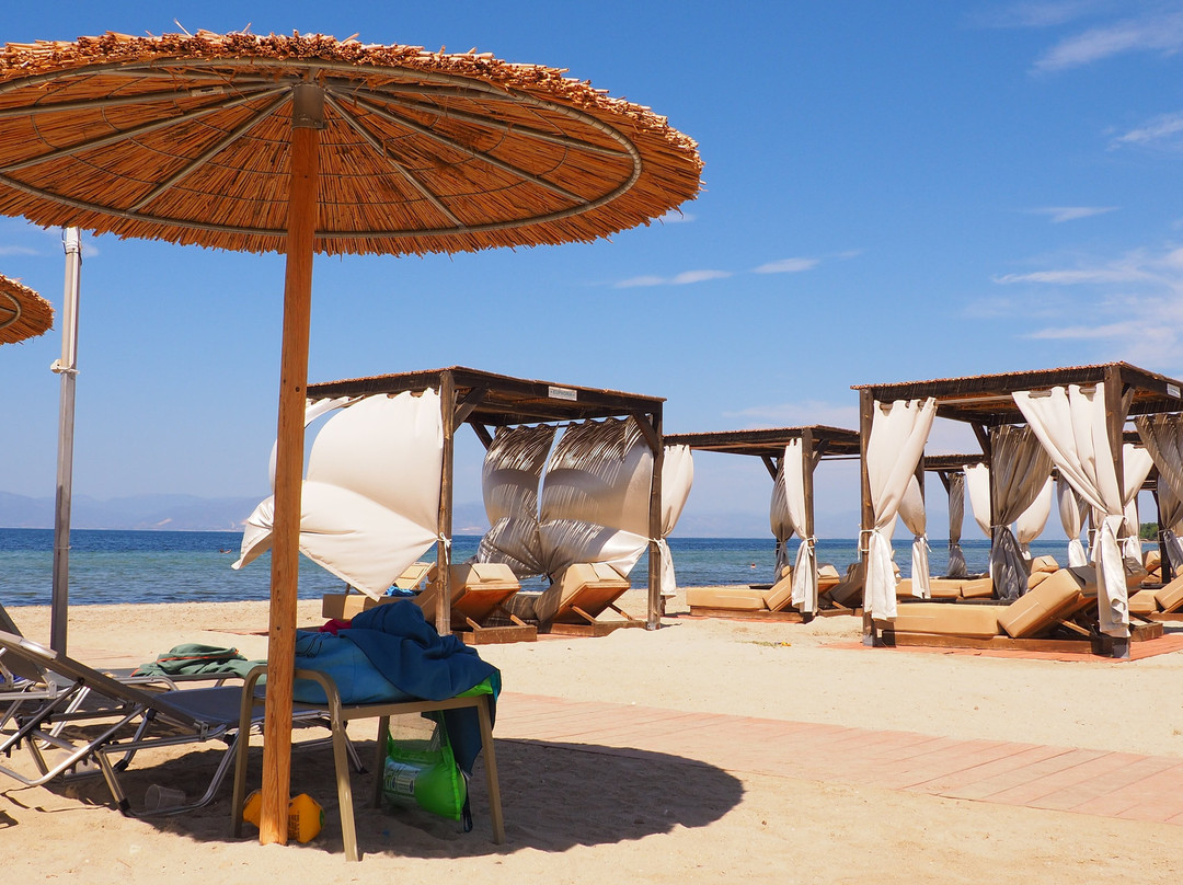 阿列亚套房酒店主图