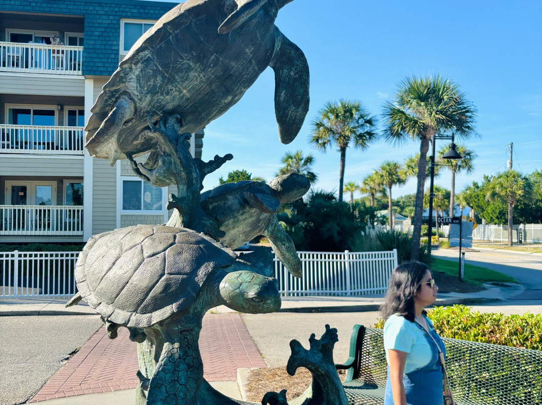 Isle of Palms County Park景点图片