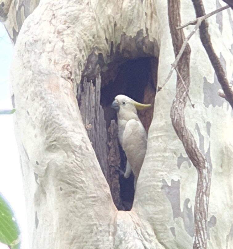 苏格兰岛寄宿酒店主图