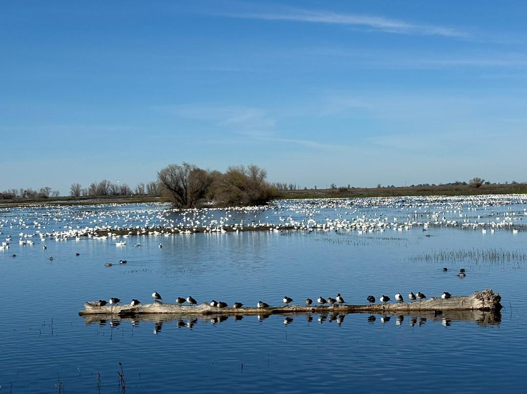 默塞德国家野生动物保护区-默塞德必去景点