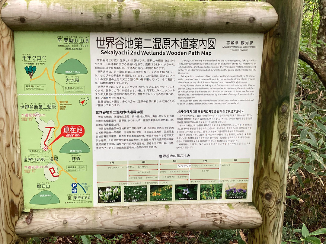 Sekaiyachi Native Flower Trail-栗原市必去景点