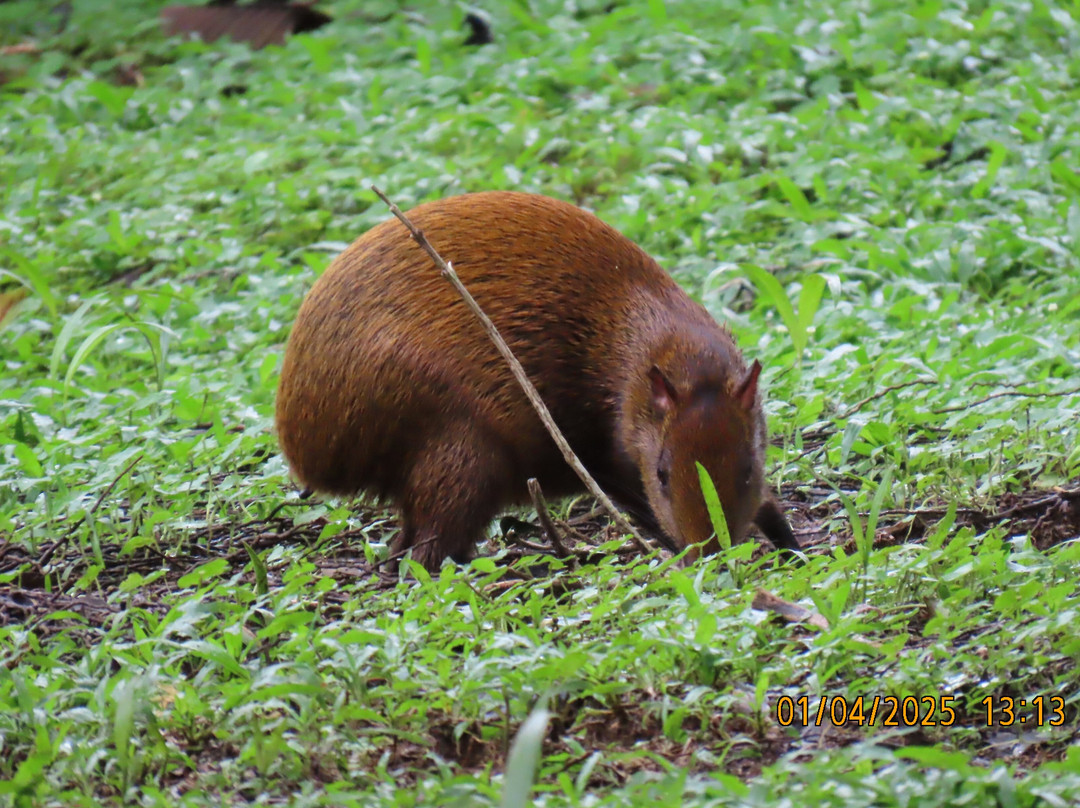 La Marina Wildlife Rescue Center景点图片