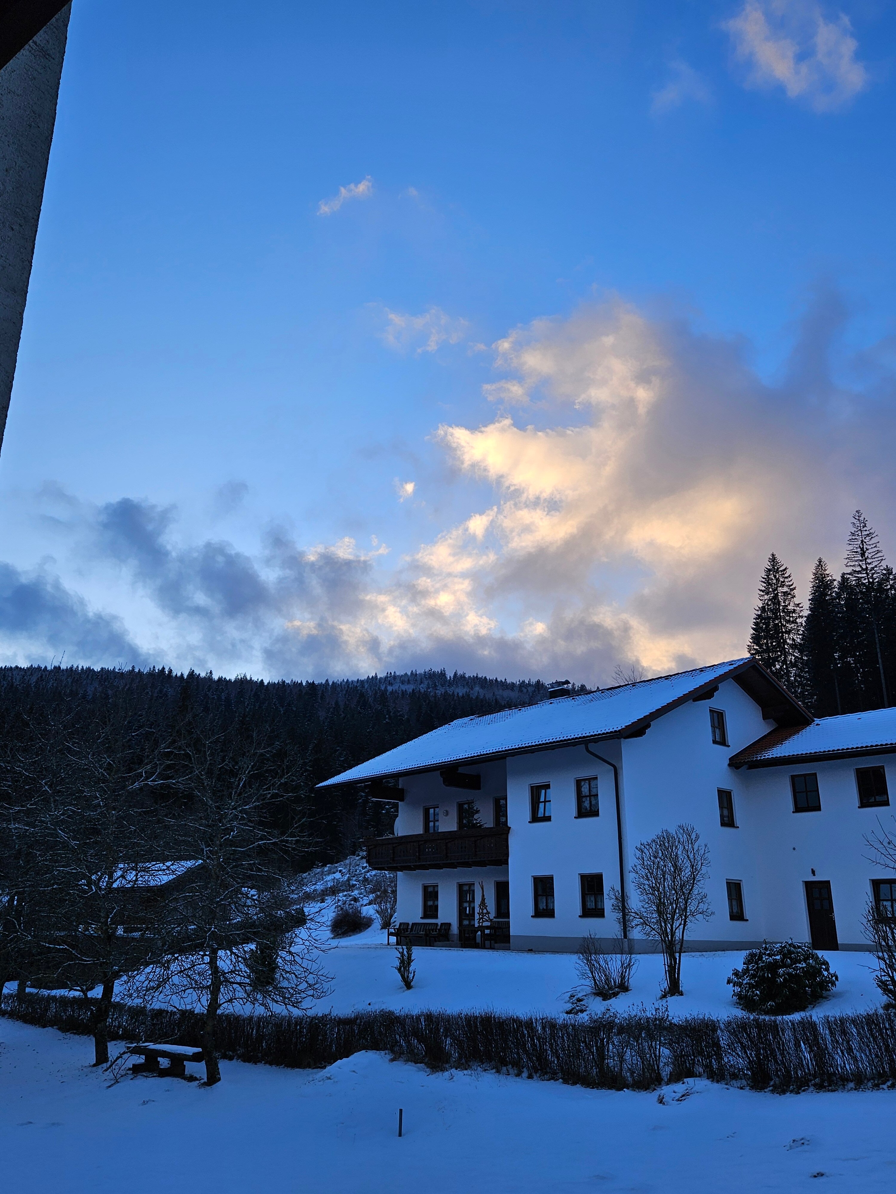 Waldhotel Seebachschleife-酒店景观