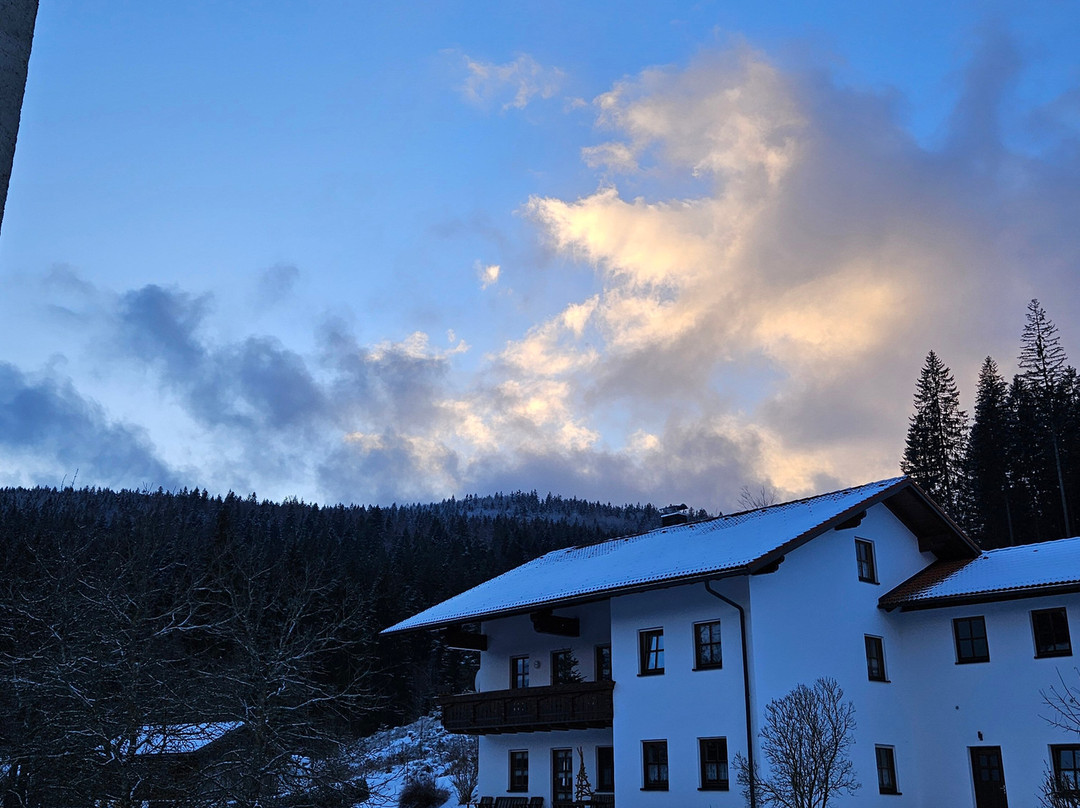 Waldhotel Seebachschleife主图