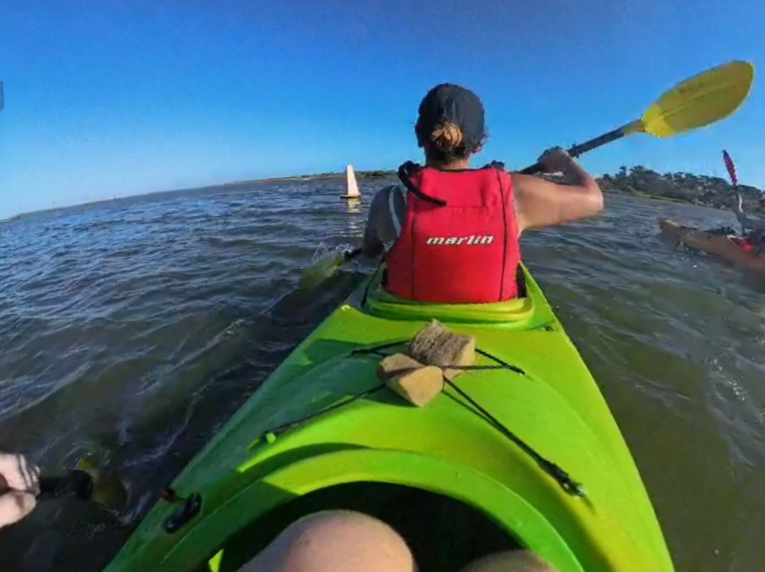 Canoe The Coorong - Day Tours-Hindmarsh Island必去景点