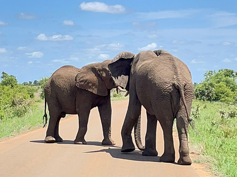 Dongeni Safaris-雾观必去景点