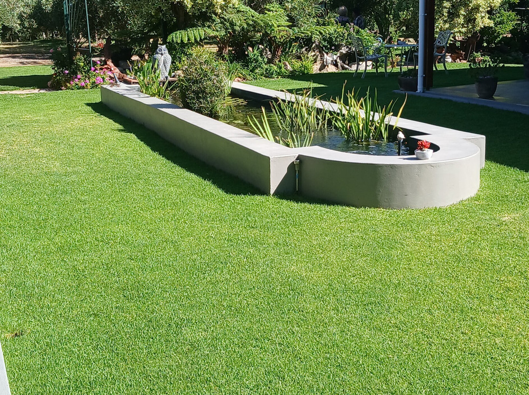 Mirihof Olive and Guest Farm主图