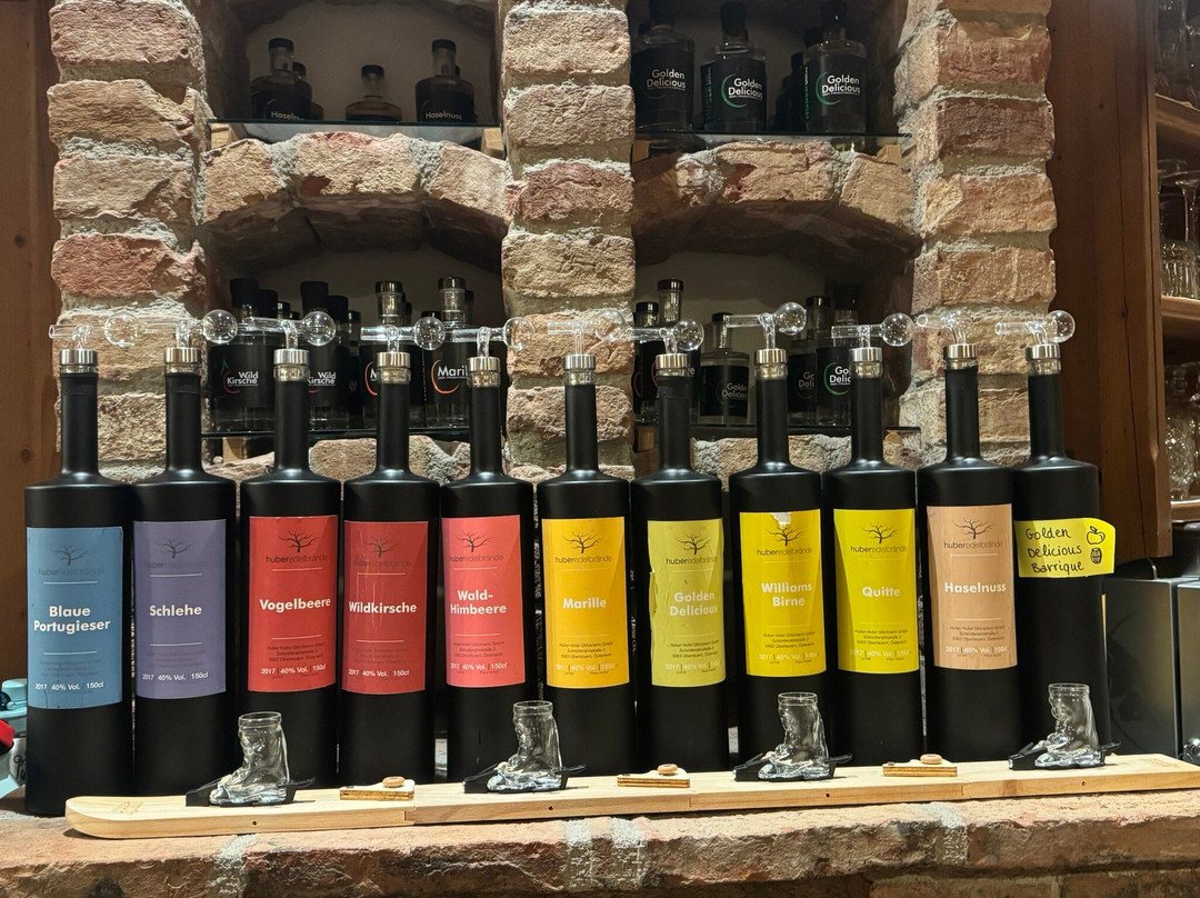 Appartement & Suiten Hotel Gloecknerin主图