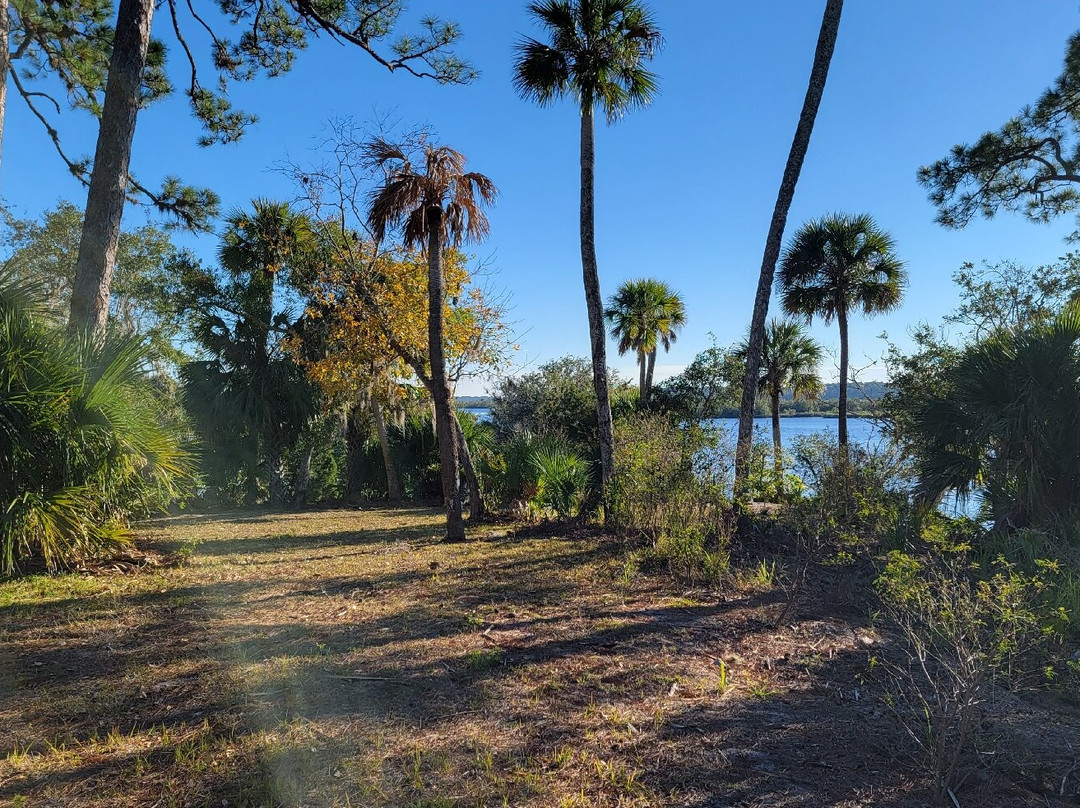Tomoka State Park-奥蒙德海滩必去景点