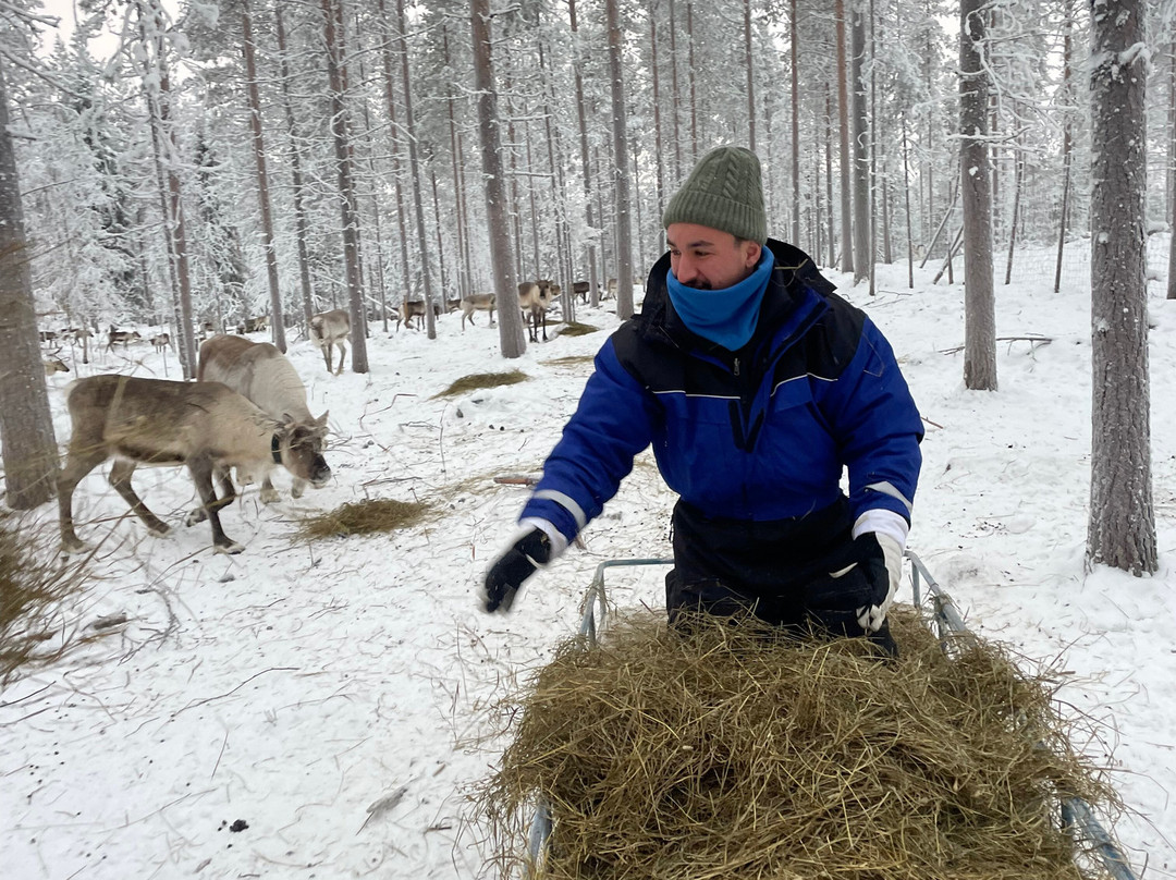 Unique Reindeer Farm-Kemijarvi必去景点