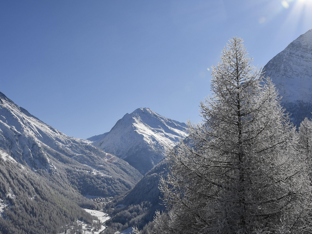 Waldhotel Fletschhorn主图