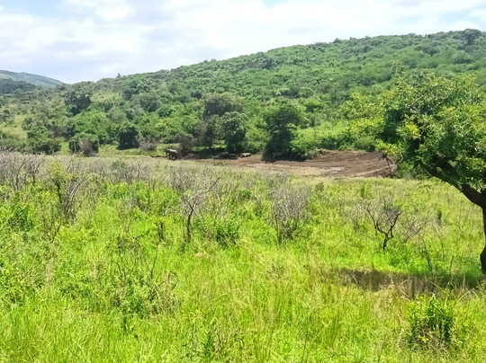 Budget Safaris Durban-德班必去景点