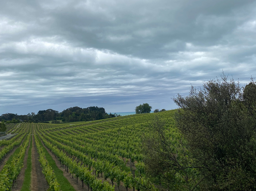 Pine Hill Lodge主图