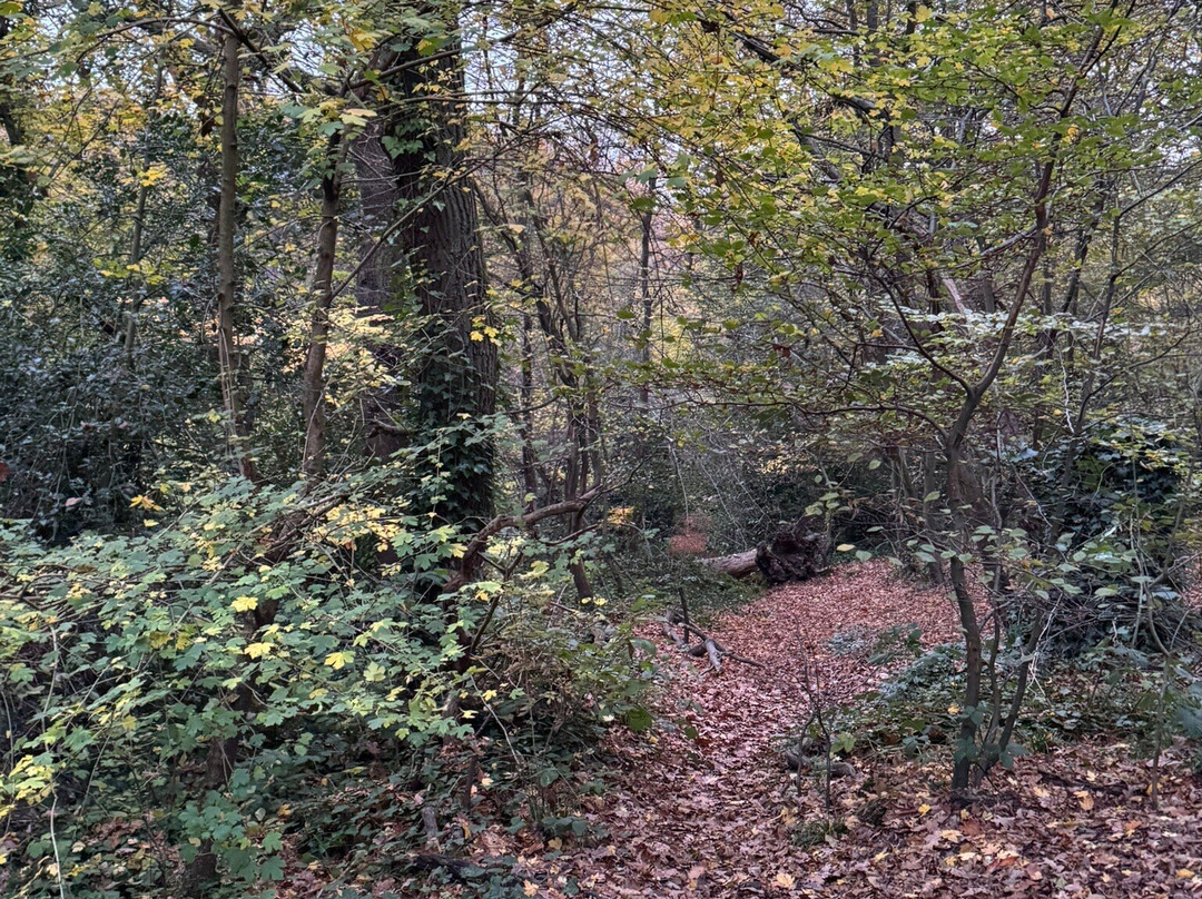 Queen's Wood-Crouch End必去景点