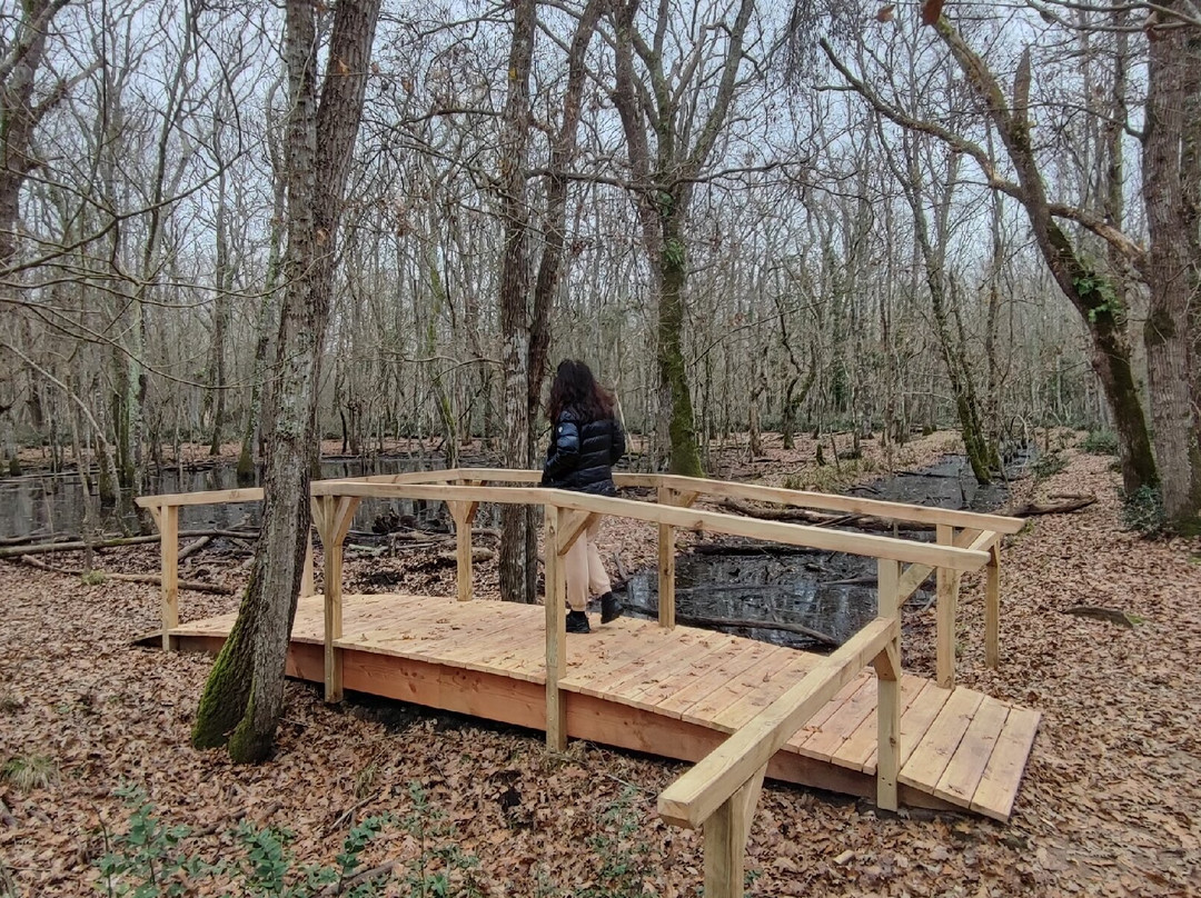 Parco Nazionale Del Circeo景点图片