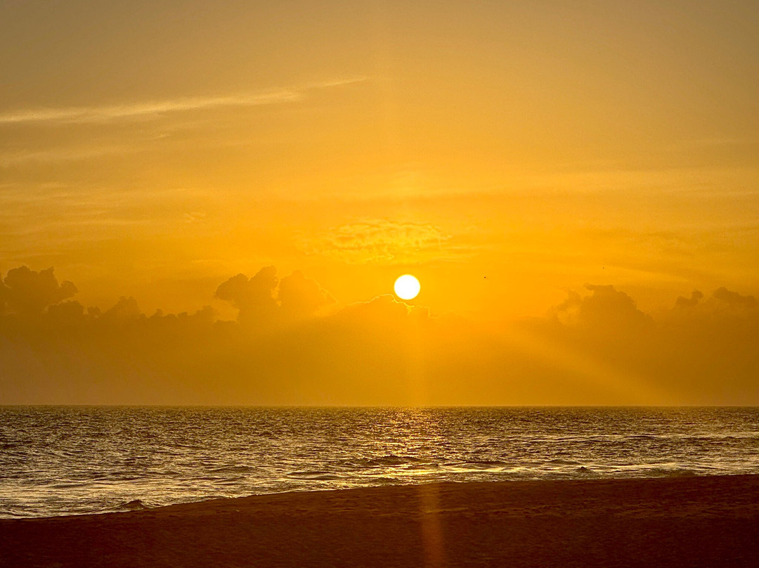 Highland Chiuahua Hotel主图