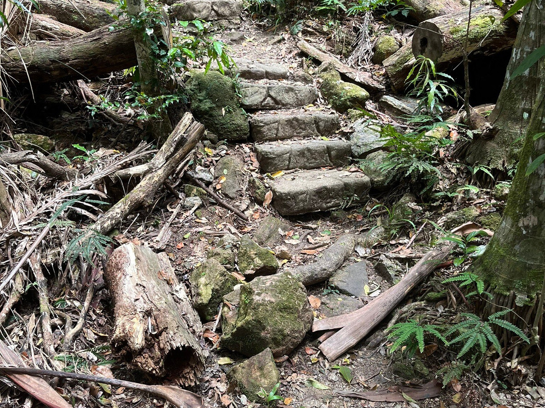 Mapleton Falls National Park景点图片