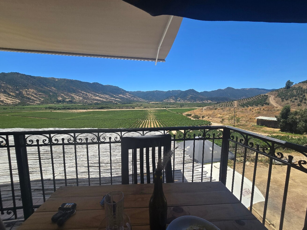 Viña Santa Cruz-Lolol必去景点